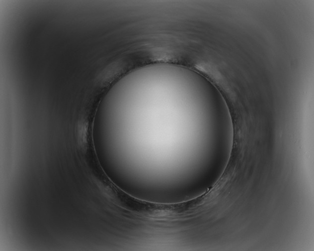 X0000088360066200705291316