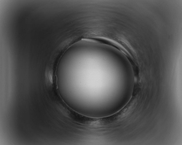 X0000088360068200705291316