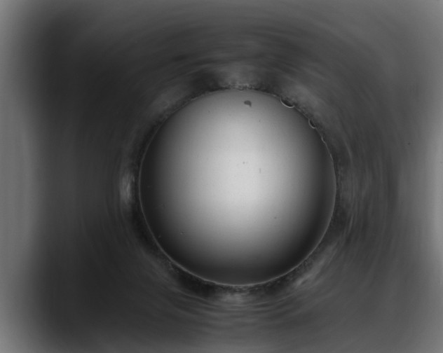 X0000088360071200705291316