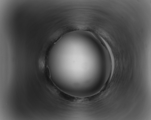 X0000088360072200705291316