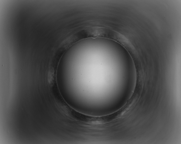 X0000088360073200705291316