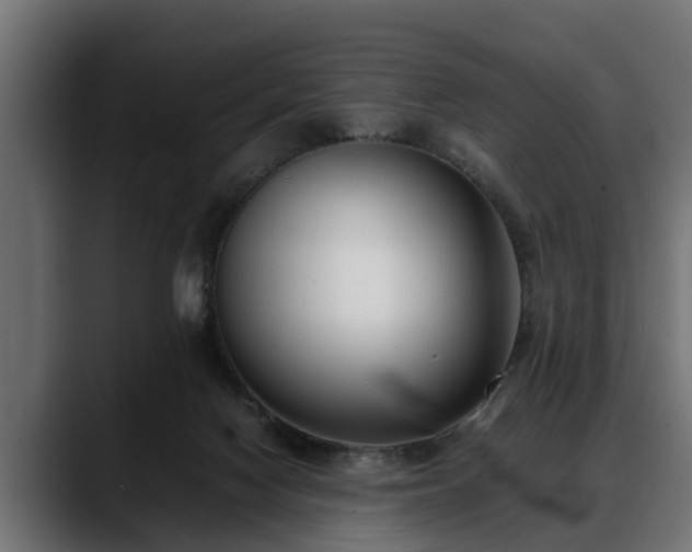 X0000088360074200705291316