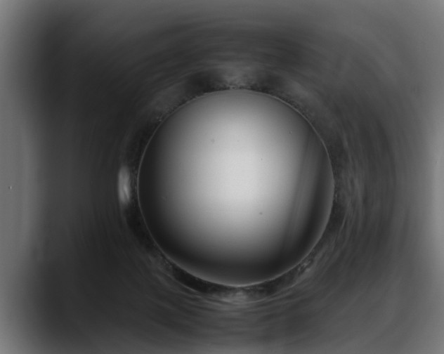 X0000088360075200705291316