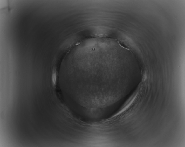 X0000088360076200705291316