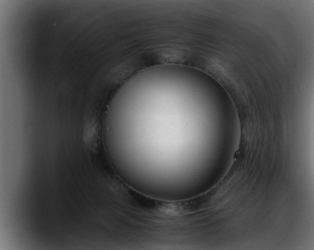 X0000088360079200705291316