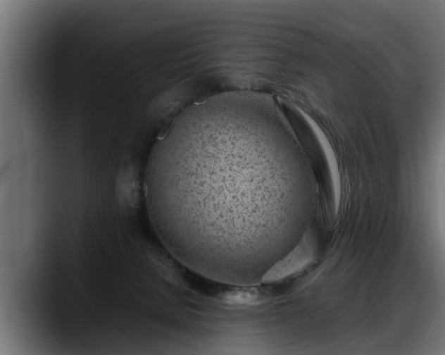 X0000088360080200705291316