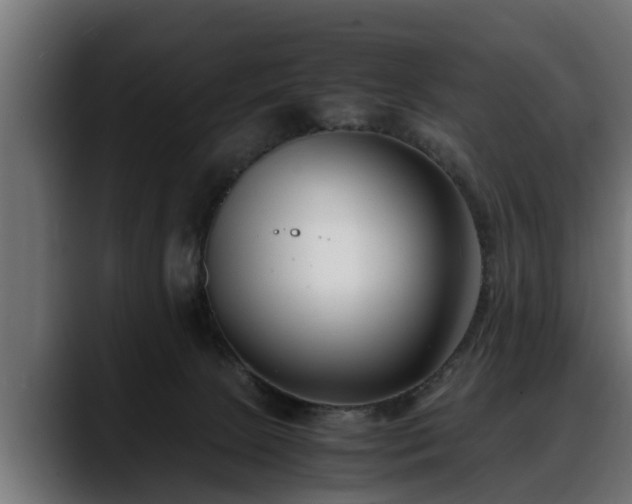 X0000088360081200705291316