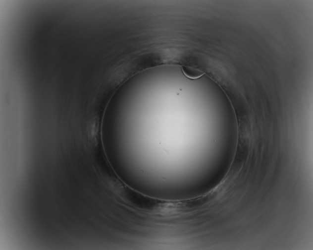 X0000088360082200705291316