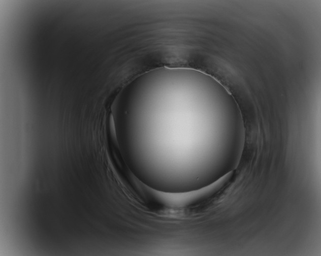 X0000088360084200705291316