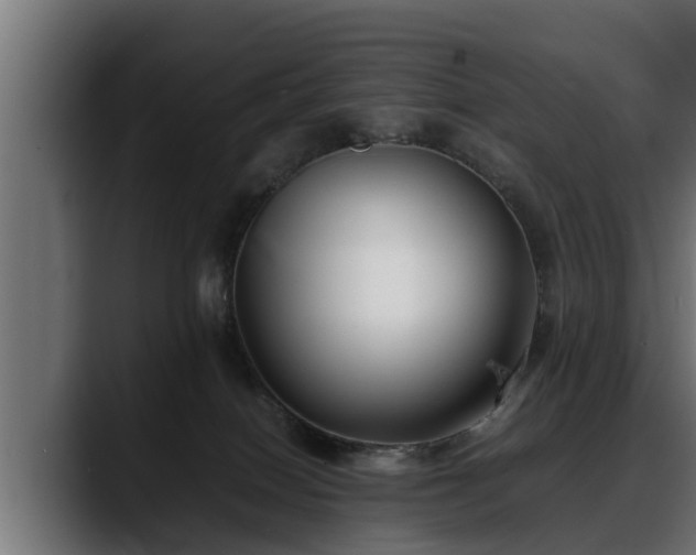 X0000088360086200705291316