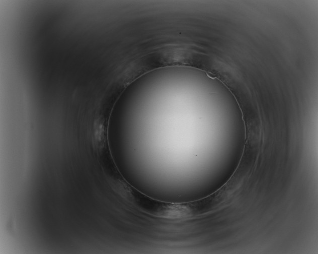 X0000088360087200705291316