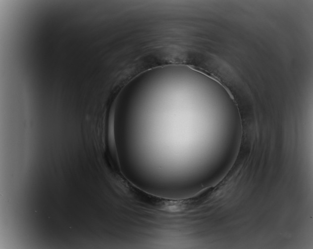 X0000088360088200705291316