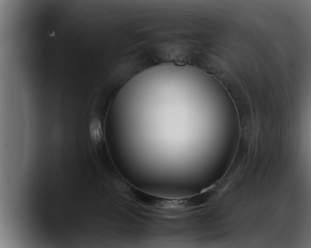 X0000088360089200705291316