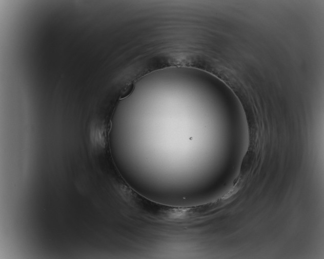 X0000088360090200705291316