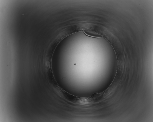 X0000088360091200705291316