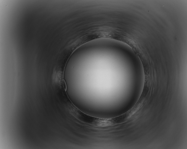 X0000088360093200705291316