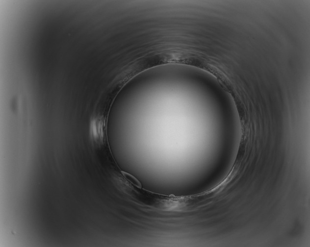 X0000088360094200705291316