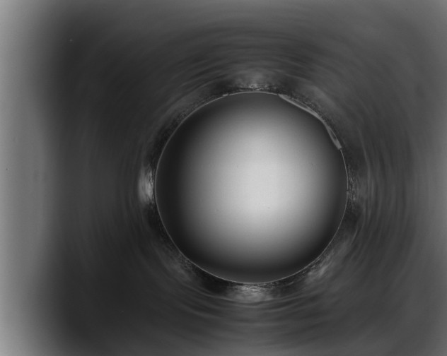 X0000088360095200705291316