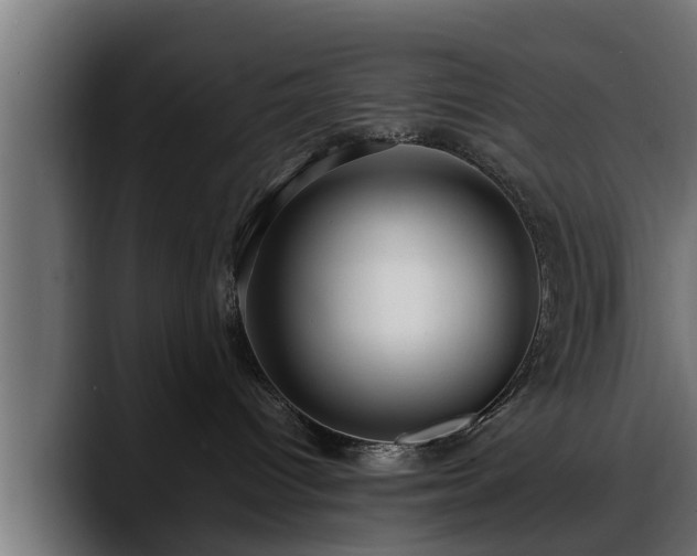 X0000088360096200705291316