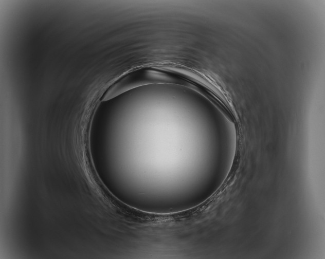 X0000088360097200705291315