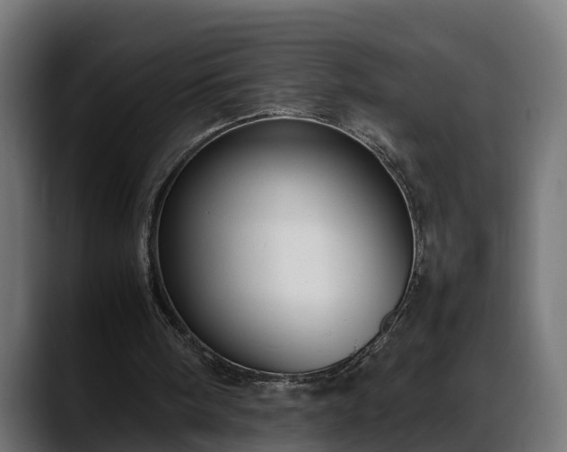 X0000088360098200705291315