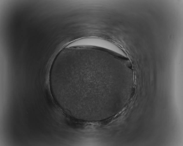 X0000088360099200705291315