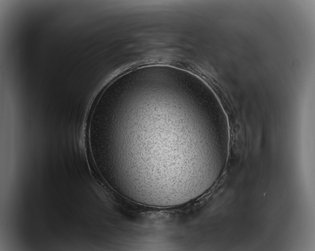 X0000088360100200705291315