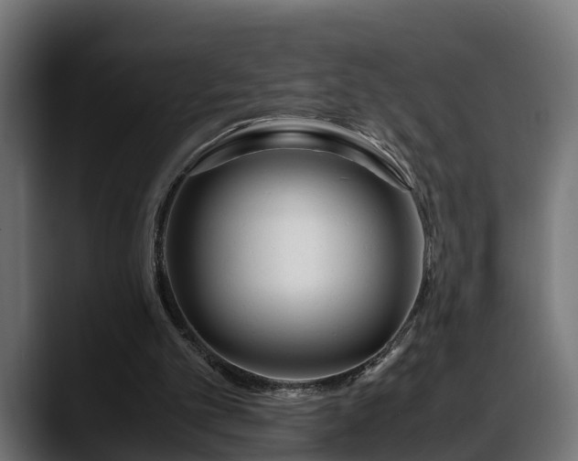 X0000088360101200705291315