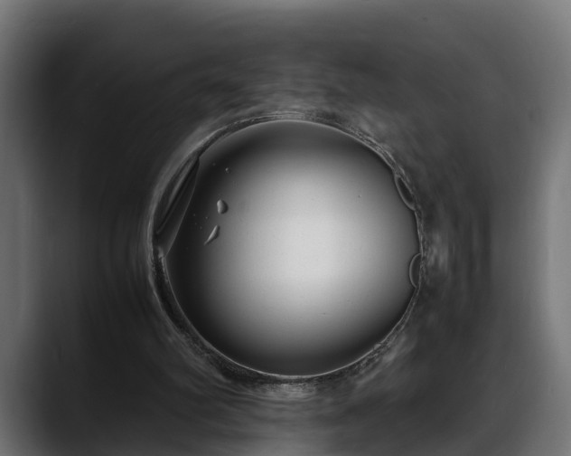 X0000088360102200705291315