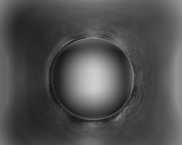 X0000088360103200705291315