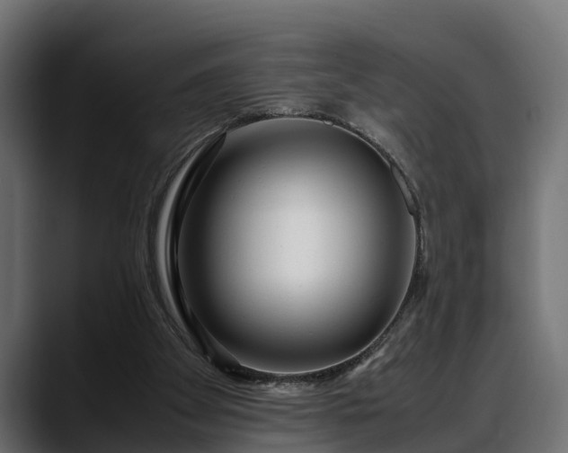 X0000088360105200705291315