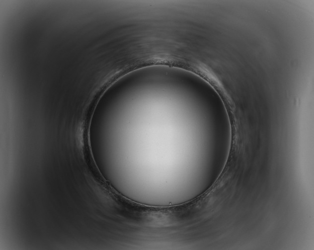 X0000088360106200705291315