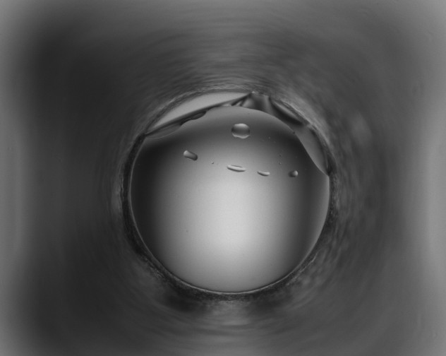 X0000088360107200705291315