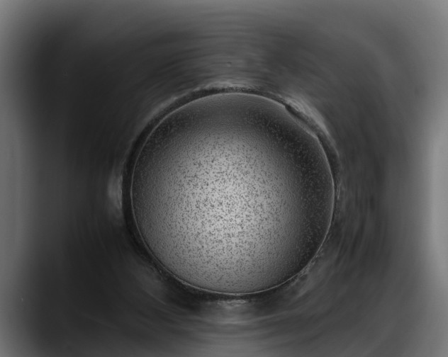 X0000088360108200705291315