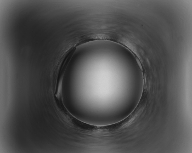 X0000088360109200705291315