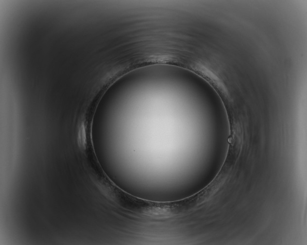 X0000088360110200705291315