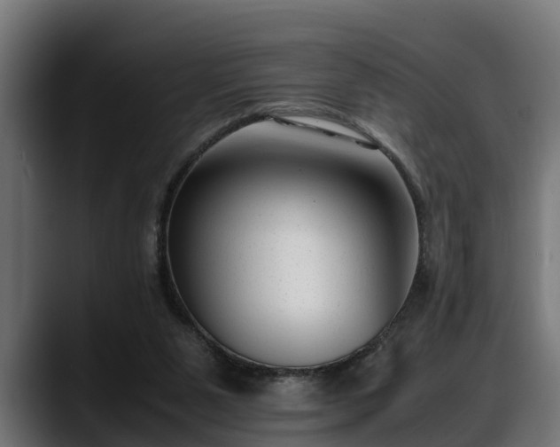 X0000088360111200705291315