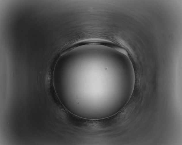 X0000088360113200705291315