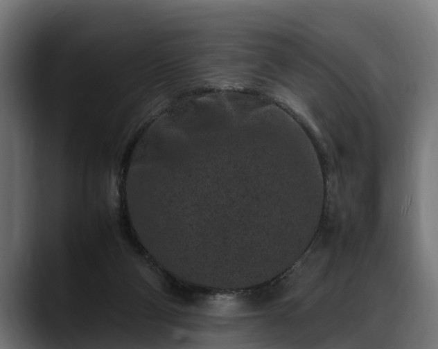 X0000088360114200705291315