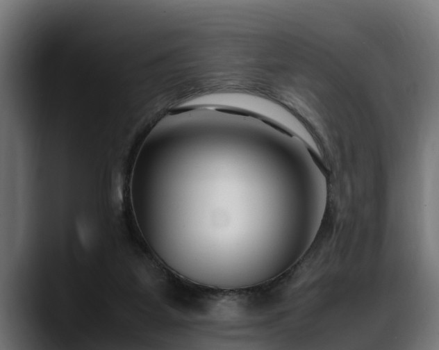 X0000088360115200705291315