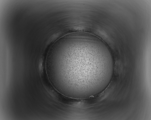 X0000088360116200705291315