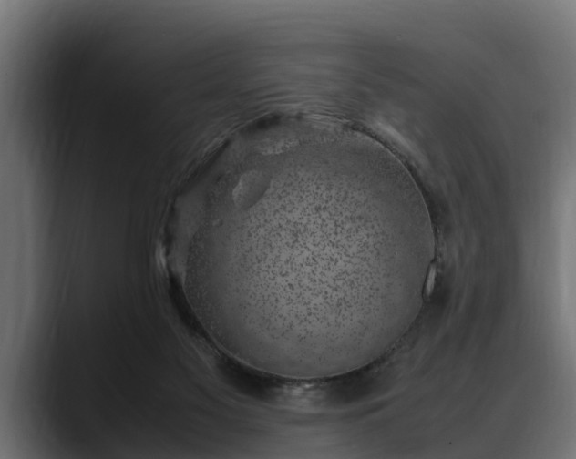 X0000088360117200705291315