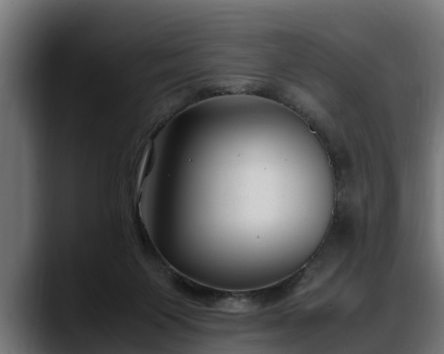 X0000088360119200705291315