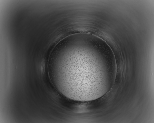 X0000088360120200705291315