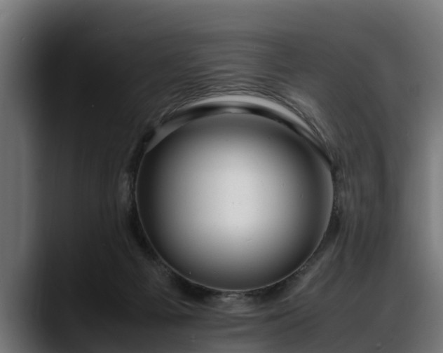 X0000088360121200705291315