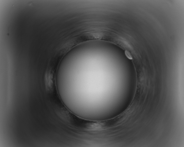 X0000088360122200705291315