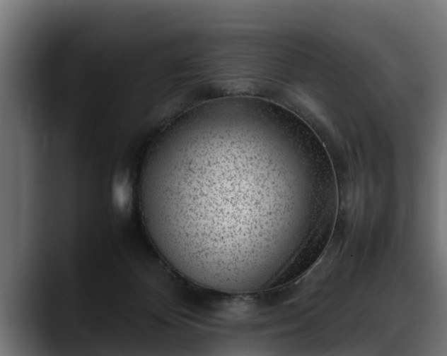 X0000088360124200705291315