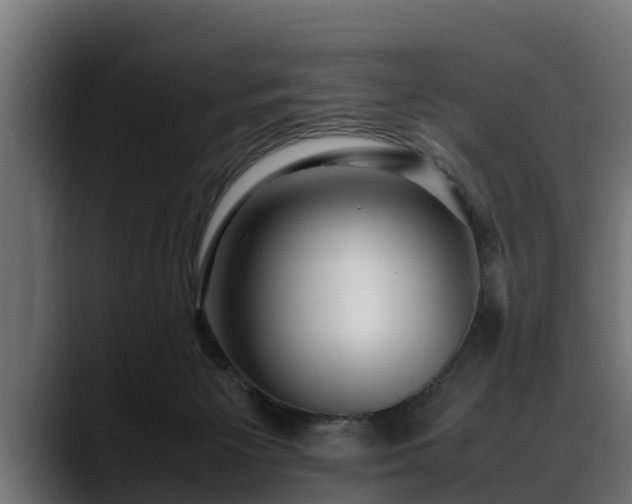 X0000088360125200705291315