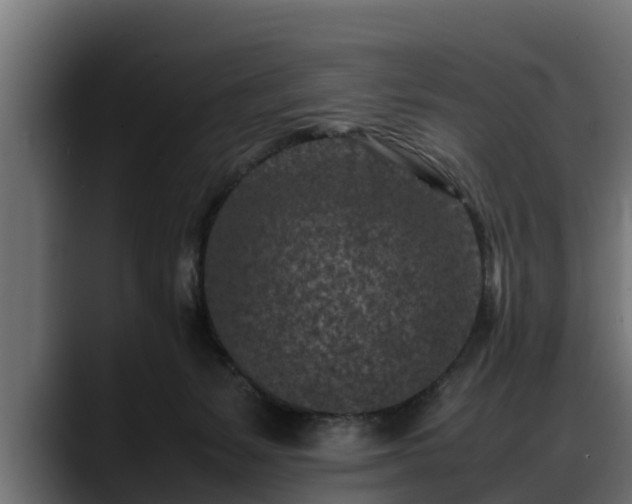 X0000088360127200705291315