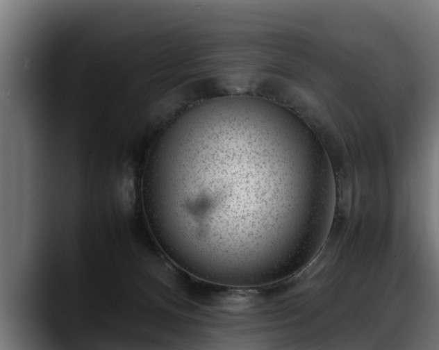 X0000088360128200705291315